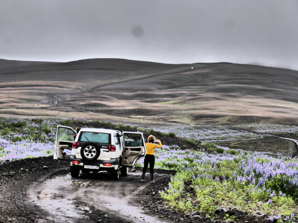 doga F26 Islandia
