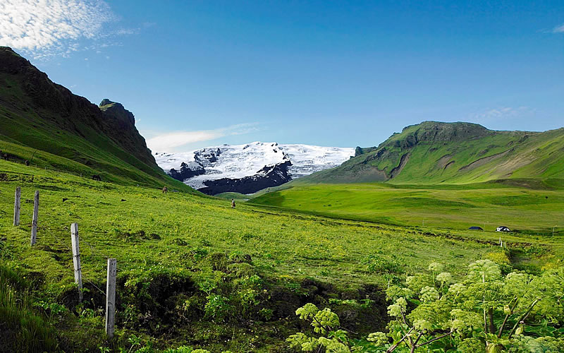 islandia ogrodzone pastwiska