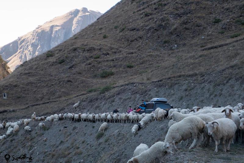 gruzja 4x4 wyprawa (53)