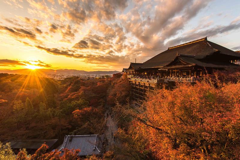 Japonia z plecakiem wycieczka do Japoniii kameralnie (12)