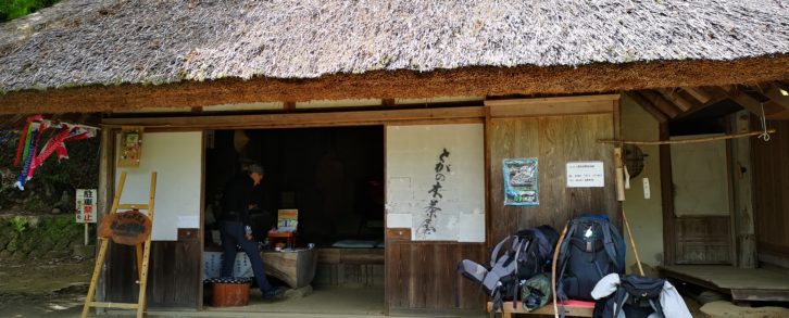 Kumano Kodo, szlak trekkingowy w Japonii, czy warto?