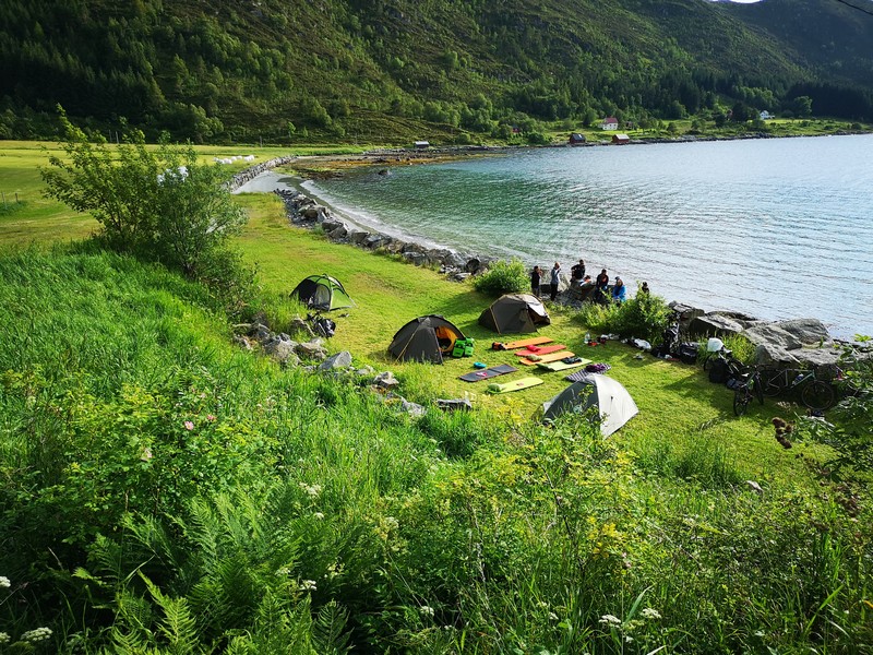 spanie na dziko norwegia