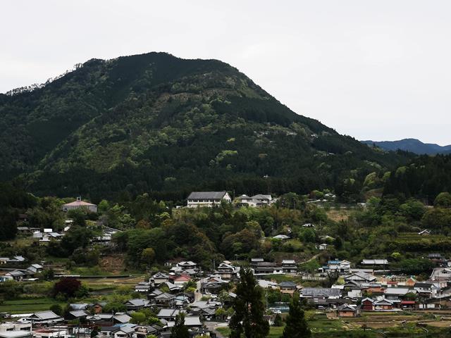 oznor_vivid