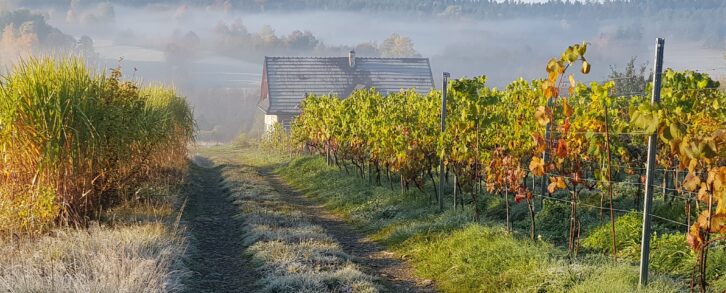Magiczny koniec świata. W przestrzeni i kolorach Beskidu Niskiego