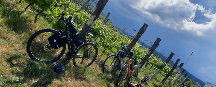 INTO the NATURE. Podlasie SLOW RIDE i…spektakle warte przeżycia
