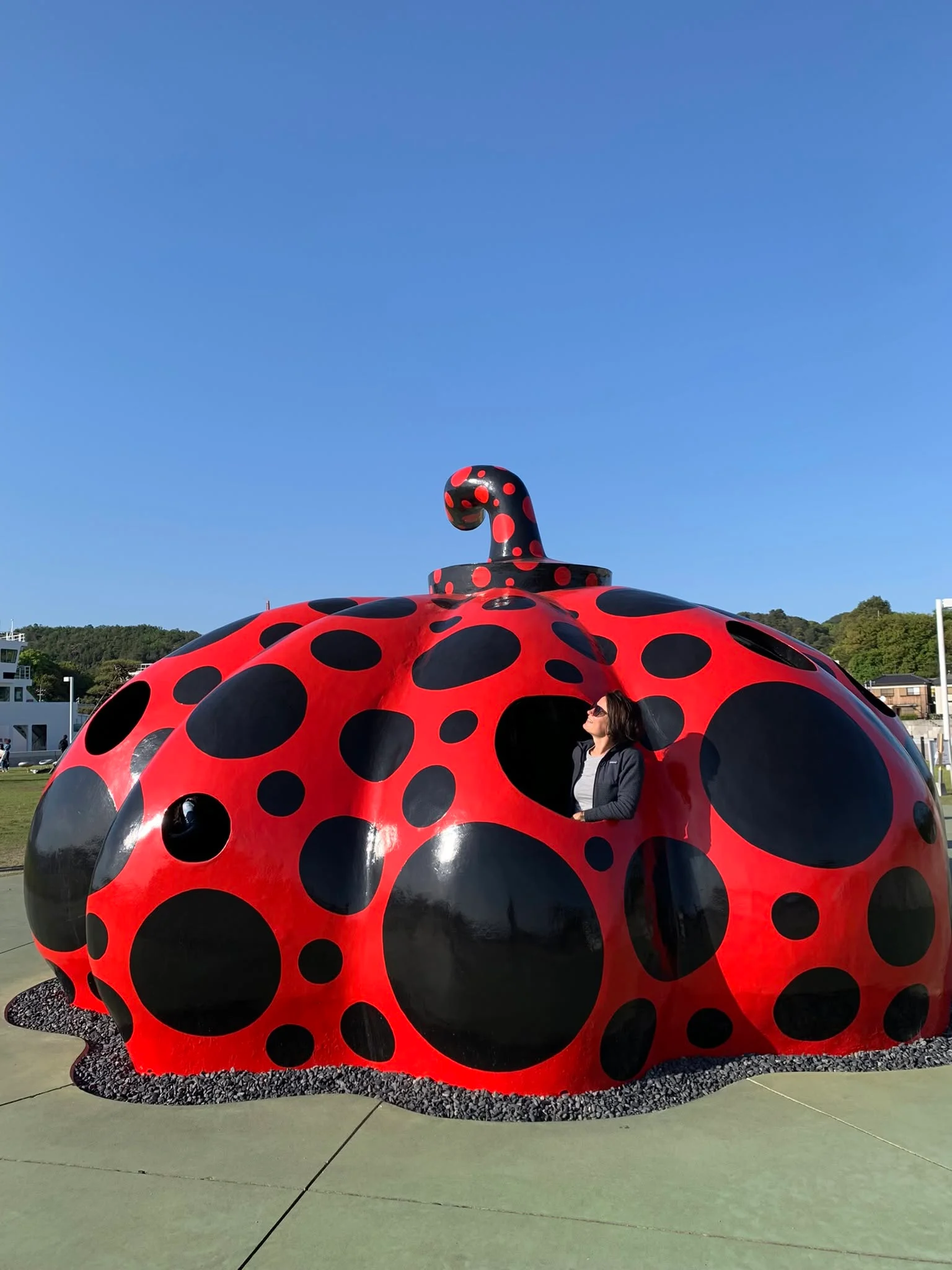 Japonia Bomba - zdjęcie 3