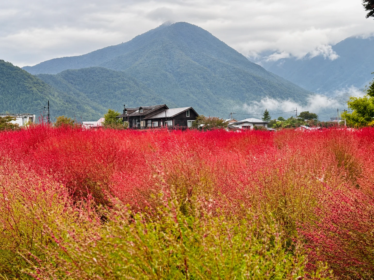 japonia październik wyprawa 